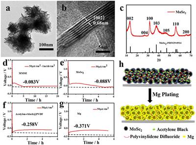 Magnesiophilic Interface of 3D MoSe2 for Reduced Mg Anode Overpotential